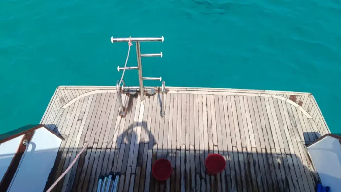 Advanced Ocean Diver - Image 10