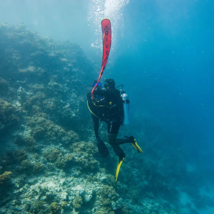 Dive Leader - Image 4