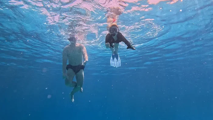 Advanced Snorkeler - Image 10