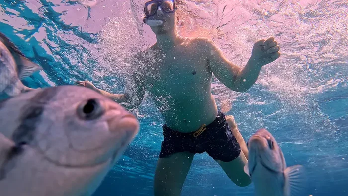 Advanced Snorkeler - Image 11