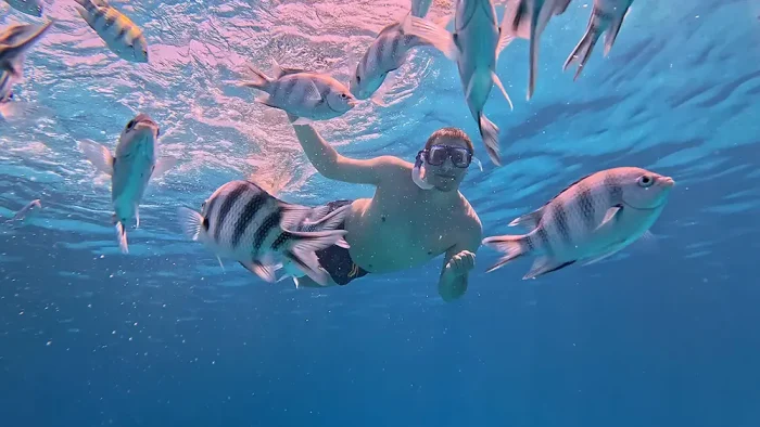 Advanced Snorkeler - Image 12