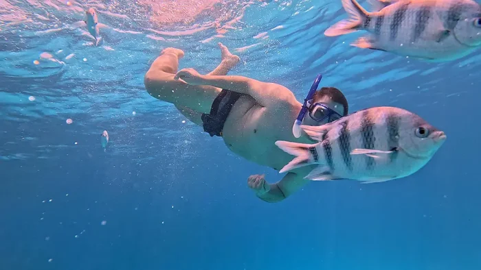 Advanced Snorkeler - Image 13