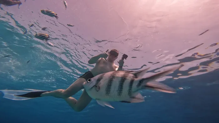 Advanced Snorkeler