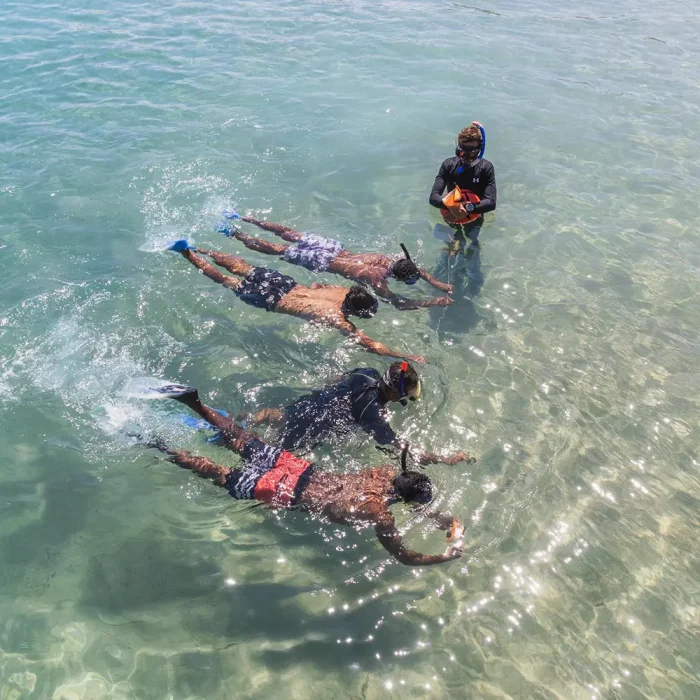 Snorkel Dive Manager