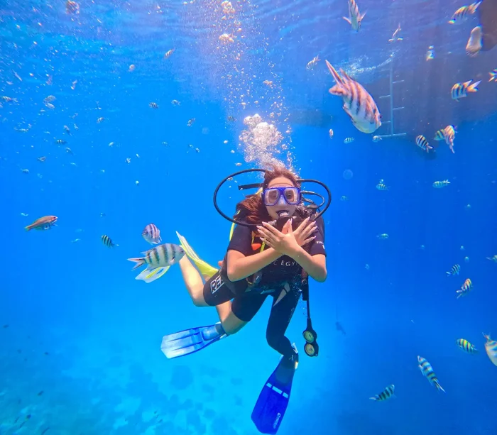 Intro Dive - Image 3