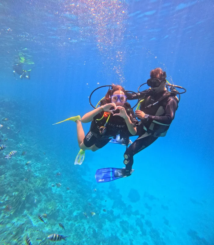 Intro Dive - Image 4