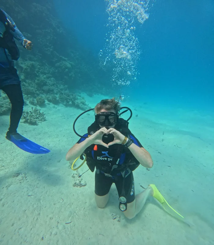 Intro Dive - Image 5