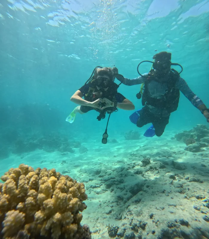 Intro Dive - Image 6