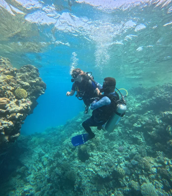 Intro Dive - Image 2