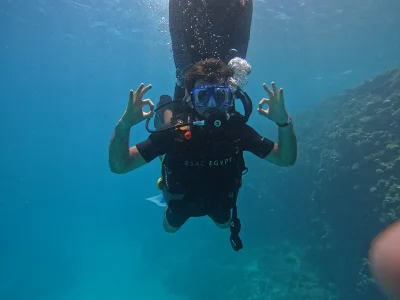 Diving1