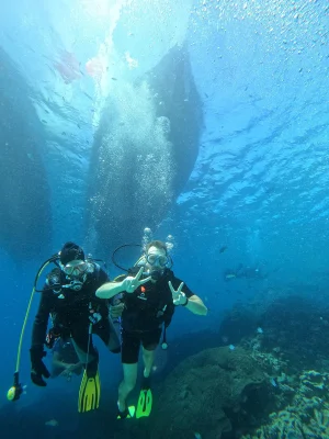 Diving3